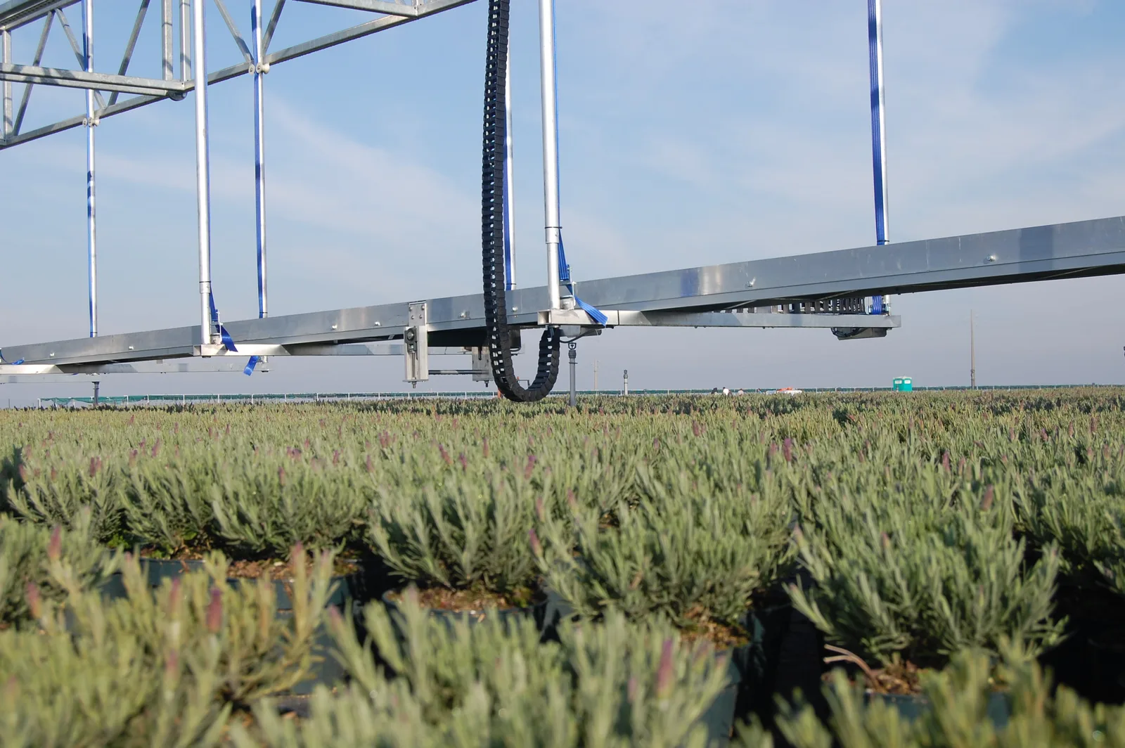 Overgewaswagen boven een teeltveld met heesters