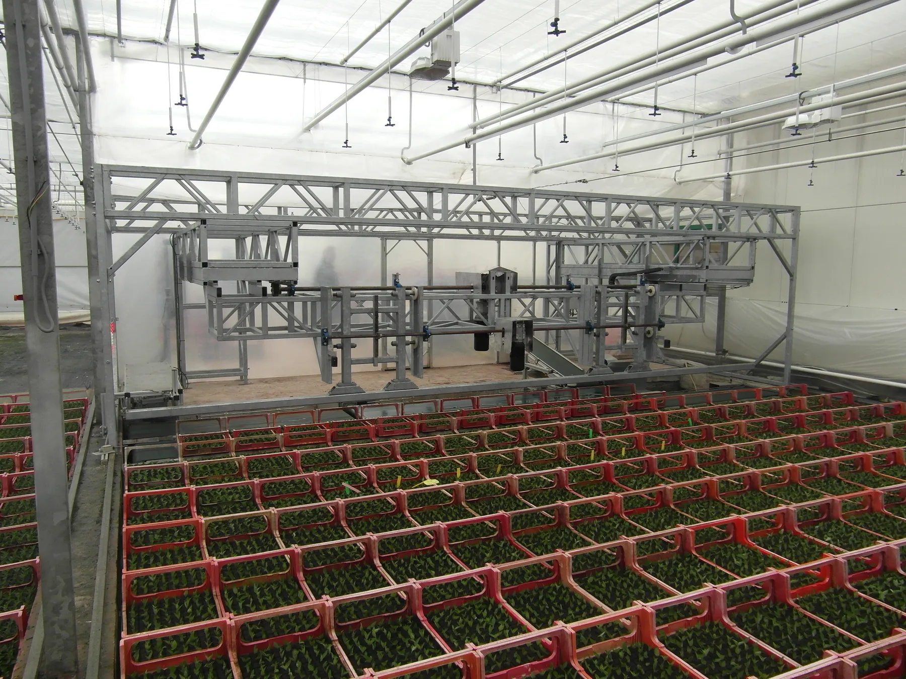 Installatie boven rijen jonge planten in een kas